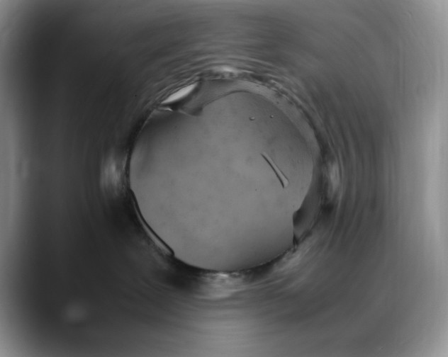 X0000088420239200706121438