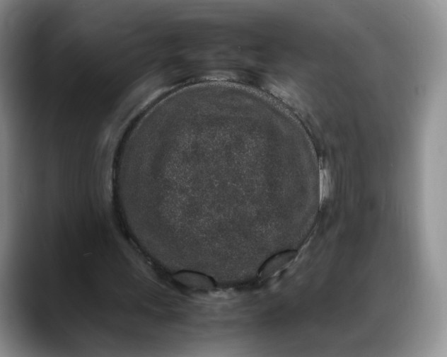 X0000088420243200706121438