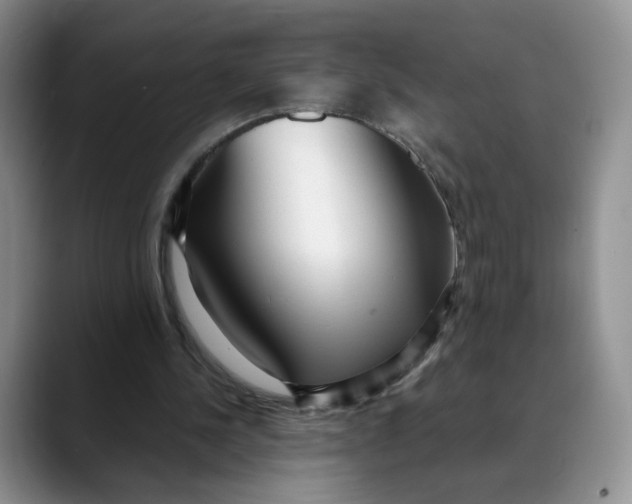 X0000088420244200706121438