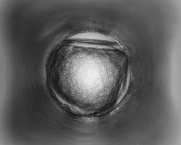 X0000088420245200706121438