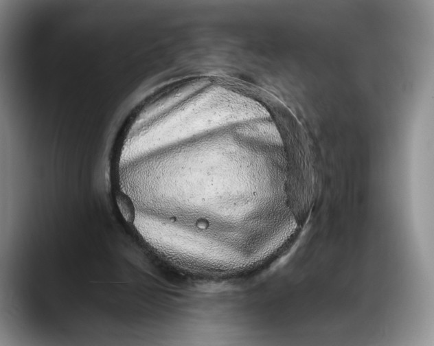 X0000088420246200706121438