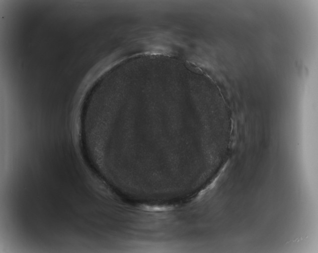 X0000088420247200706121438