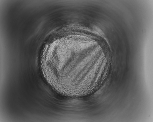 X0000088420249200706121438