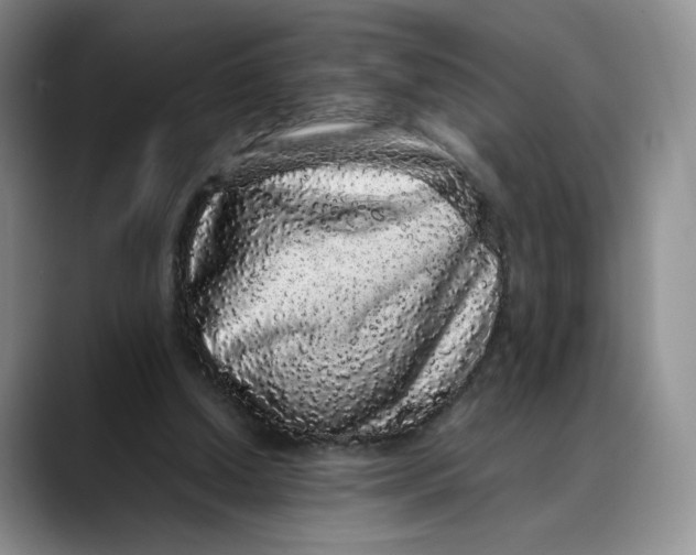 X0000088420250200706121438