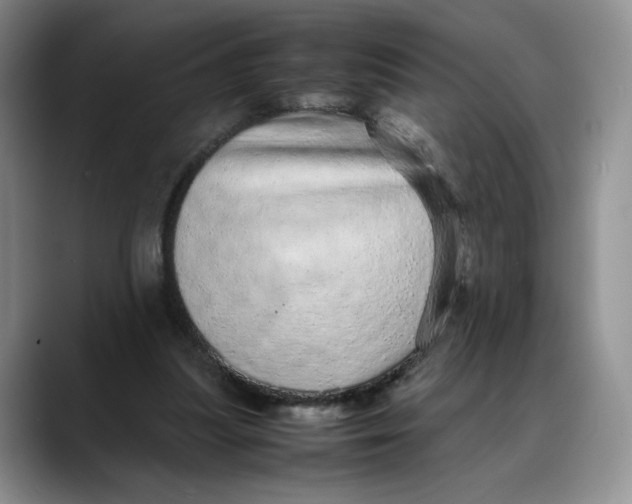 X0000088420251200706121438
