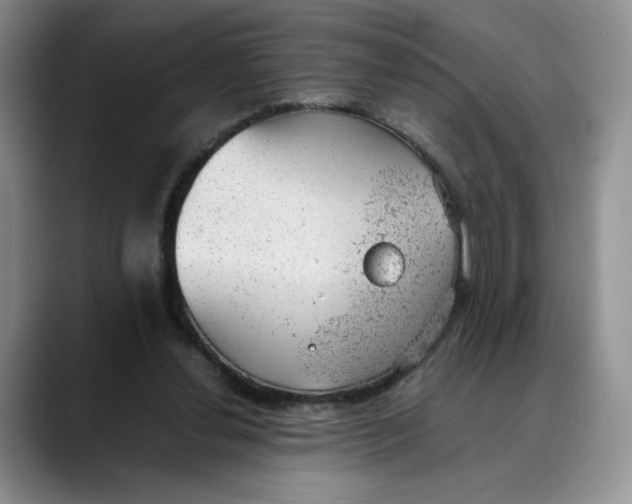 X0000088420252200706121438