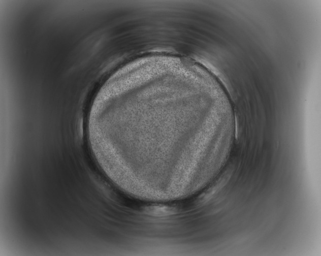 X0000088420253200706121438