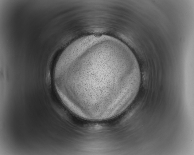 X0000088420254200706121438