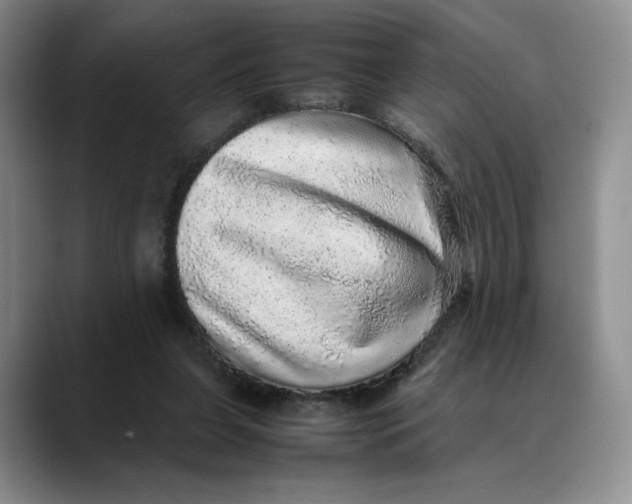 X0000088420255200706121438