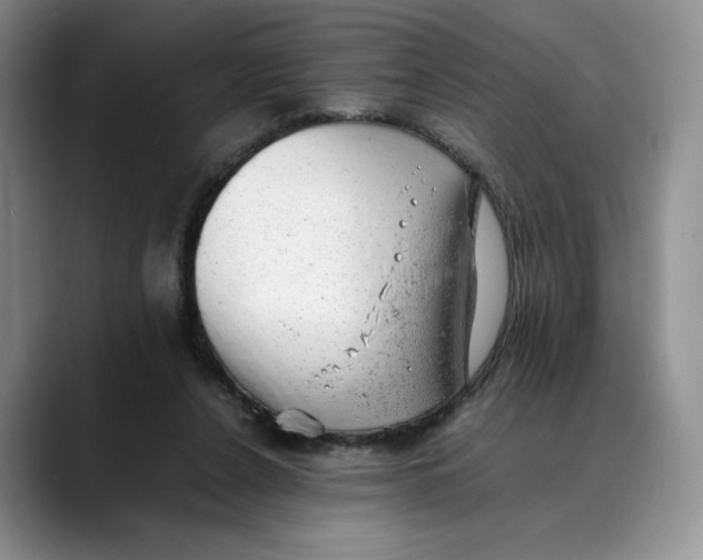 X0000088420256200706121438