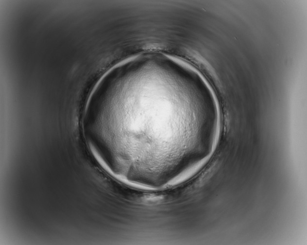 X0000088420257200706121438