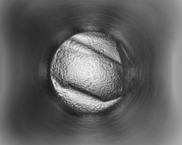 X0000088420259200706121438
