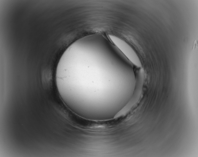 X0000088420260200706121438