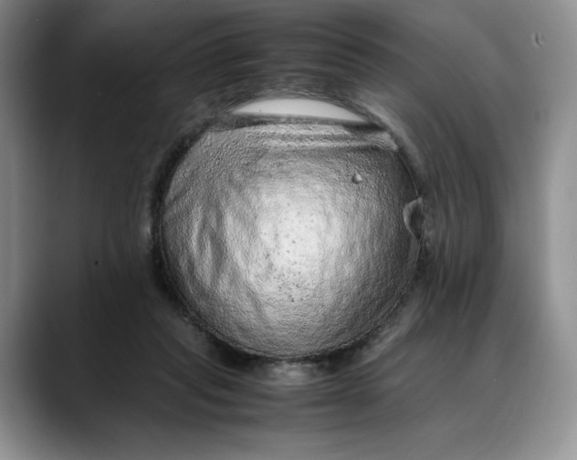 X0000088420261200706121438