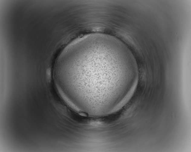X0000088420262200706121438