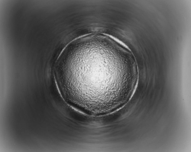 X0000088420263200706121438