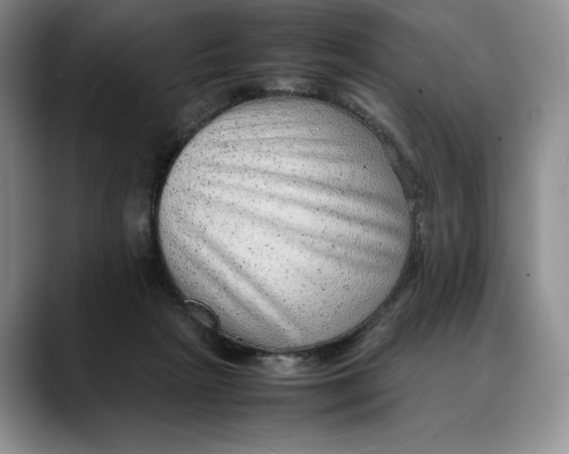 X0000088420265200706121438