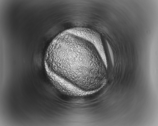 X0000088420266200706121438