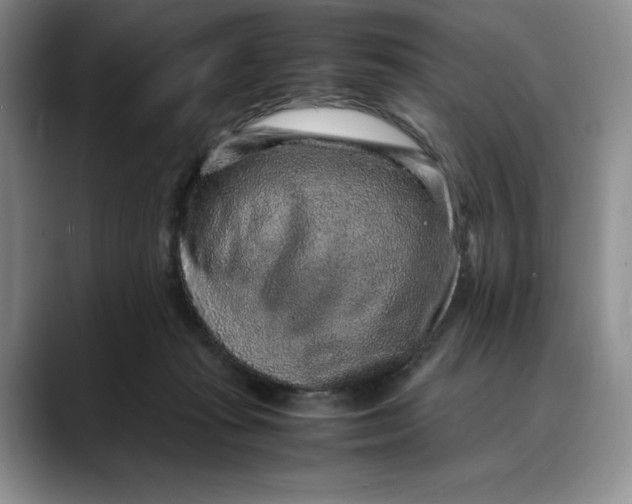 X0000088420269200706121438
