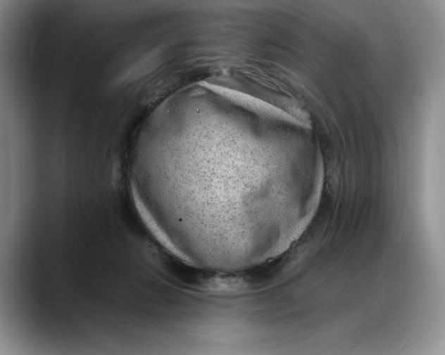 X0000088420270200706121438