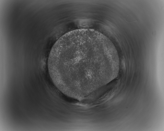 X0000088420271200706121438