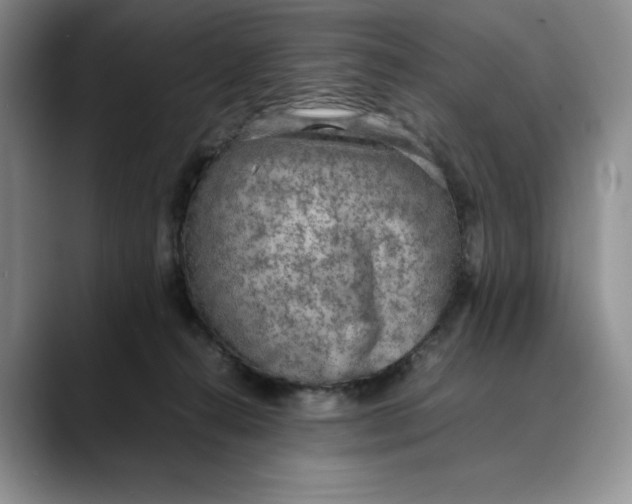 X0000088420272200706121438