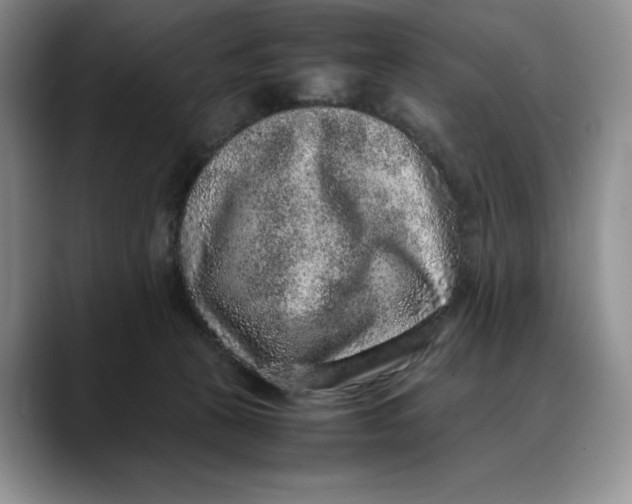 X0000088420273200706121438