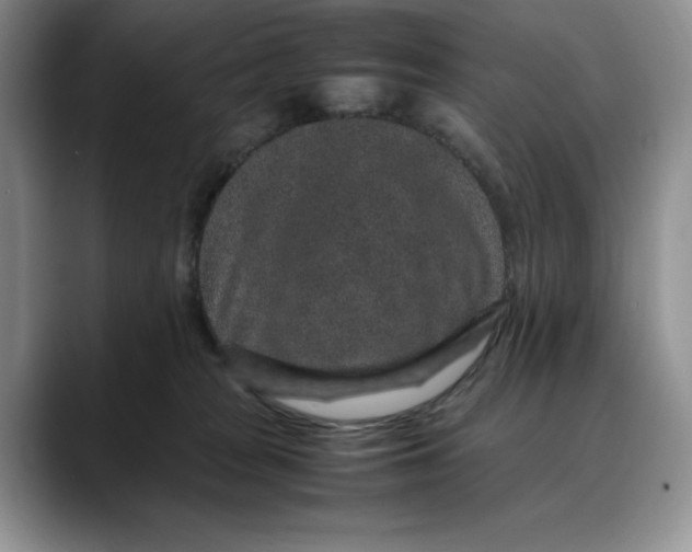 X0000088420277200706121438
