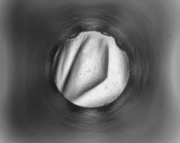 X0000088420283200706121438