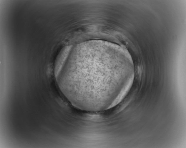 X0000088420284200706121438