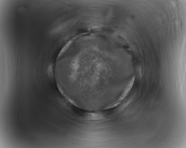 X0000088420286200706121438