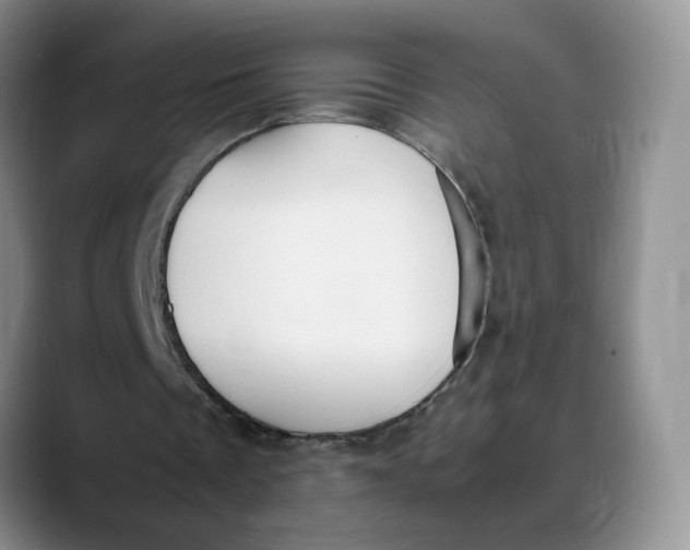 X0000088420289200706121437