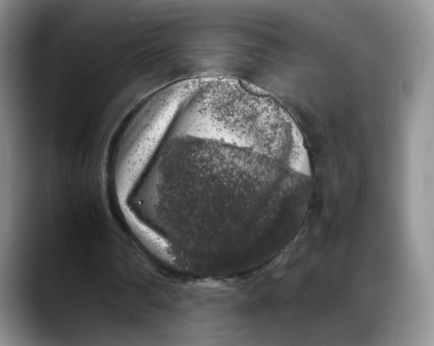 X0000088420290200706121437