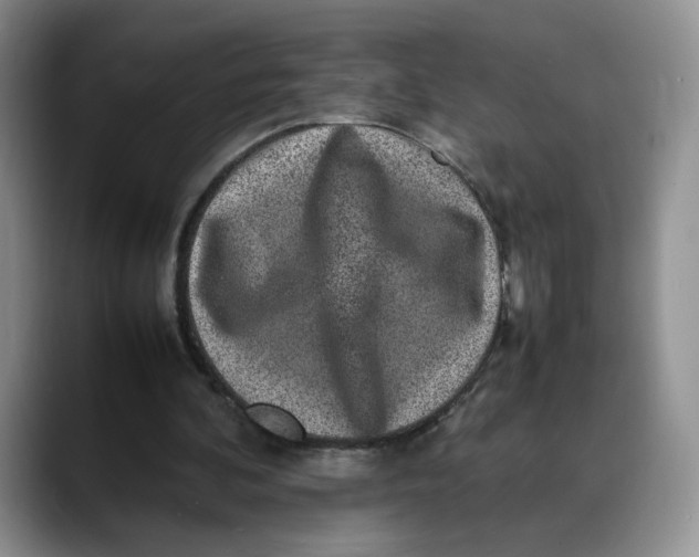 X0000088420292200706121437