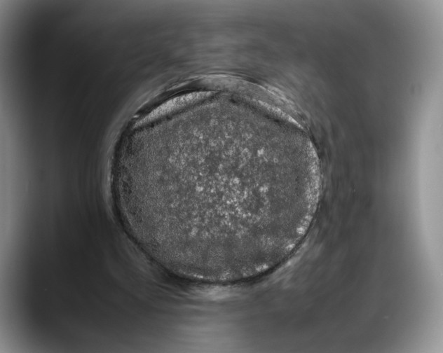 X0000088420293200706121437