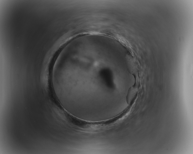 X0000088420295200706121437