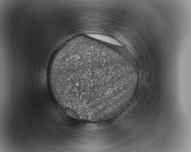 X0000088420298200706121437