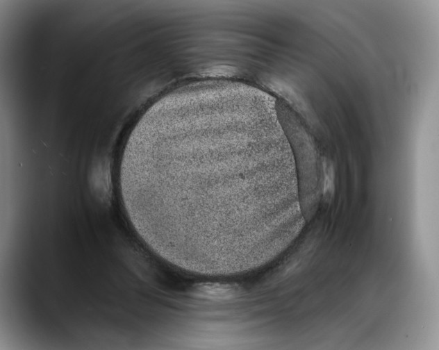 X0000088420300200706121437