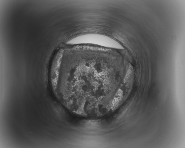 X0000088420303200706121437
