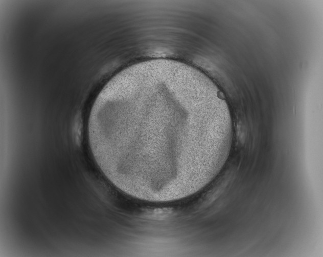 X0000088420304200706121437