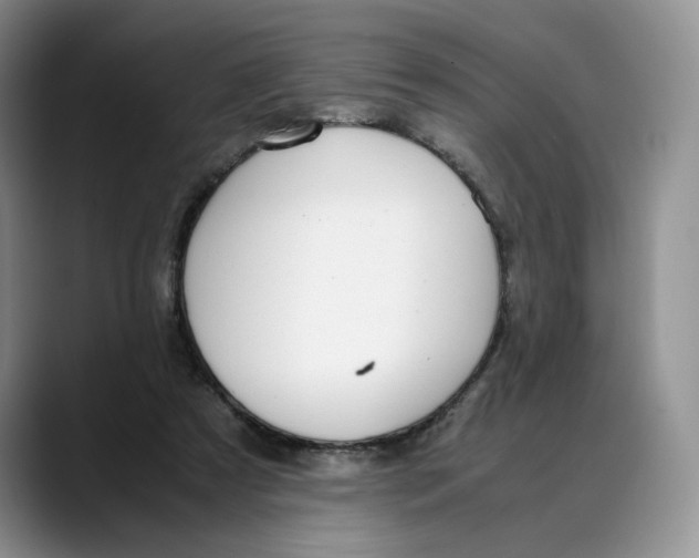 X0000088420305200706121437