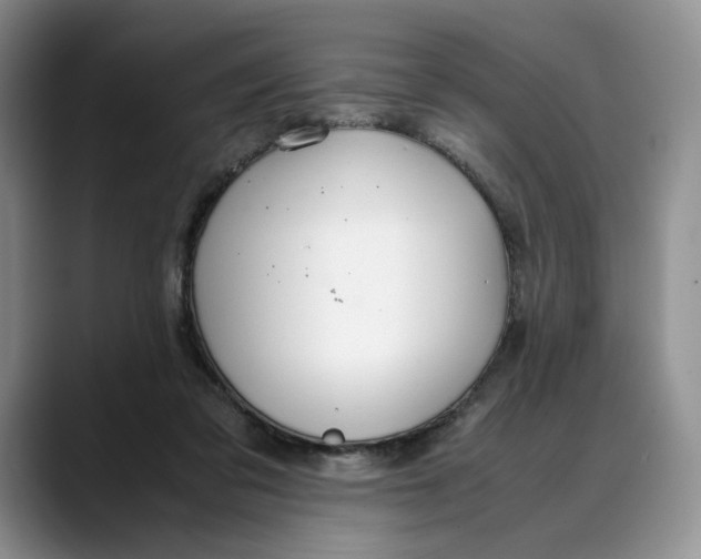 X0000088420309200706121437