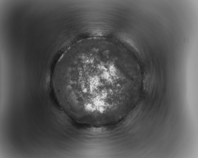 X0000088420314200706121437
