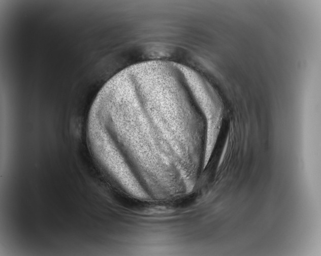 X0000088420315200706121437