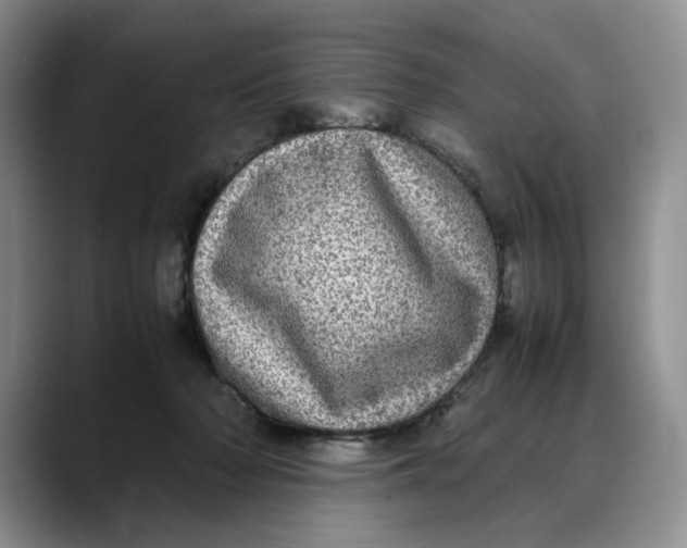X0000088420318200706121437
