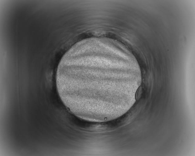 X0000088420319200706121437