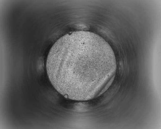 X0000088420320200706121437