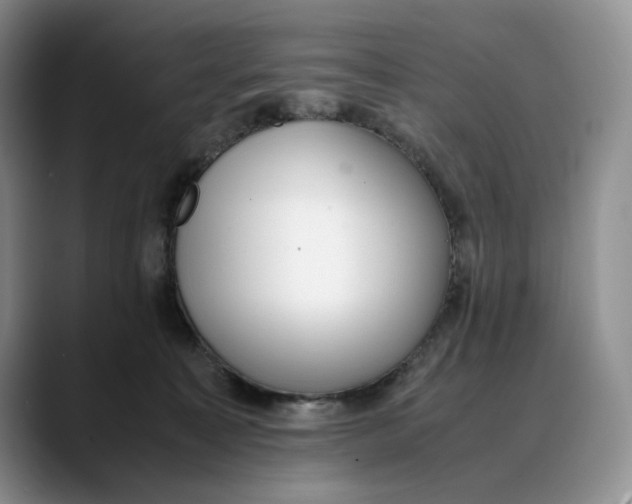 X0000088420323200706121437
