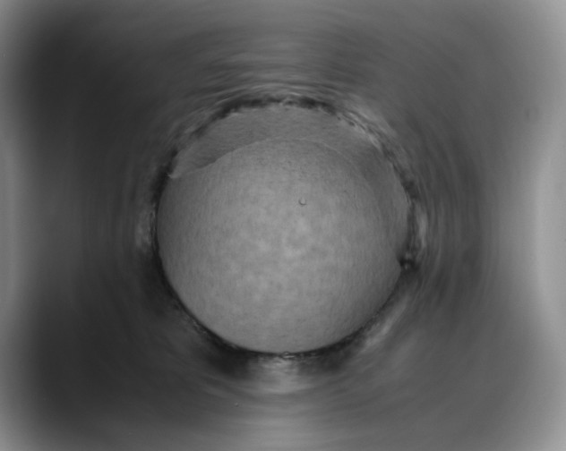 X0000088420325200706121437