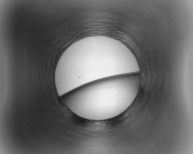 X0000088420329200706121437